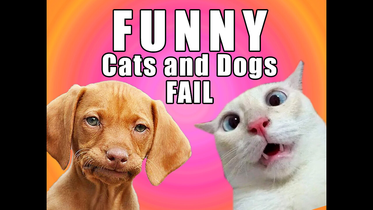 Funny Cats and Dogs fail, Try not to laugh #001