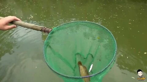 Village head fishing experience to catch, catch the upper pond horn /18