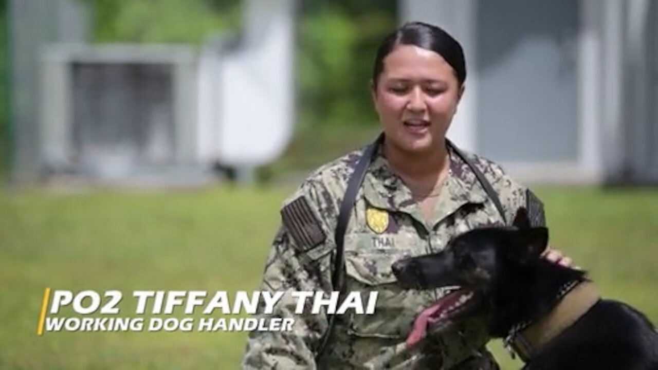 Inside NSF Diego Garcia's K-9 Units