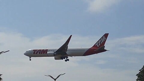 3 anos atrás...Boeing 767-300ER PT-MSX vindo de Guarulhos para Manaus