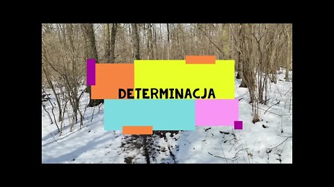 determinacja...