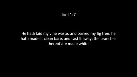 Joel Chapter 1