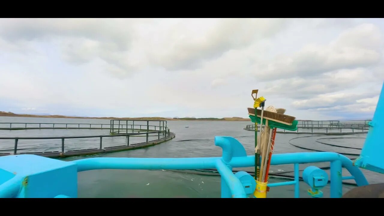 Scottish salmon farm, pens ready for relocation.