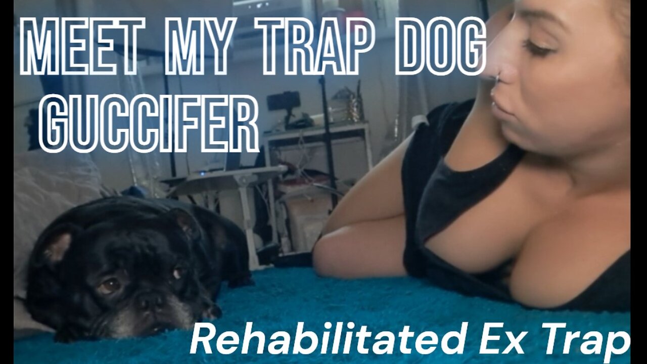 Meet My Rescued Dog from a Trap House, Guccifer