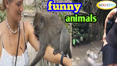 Funny animals with humans ,be happy 😁😊😁