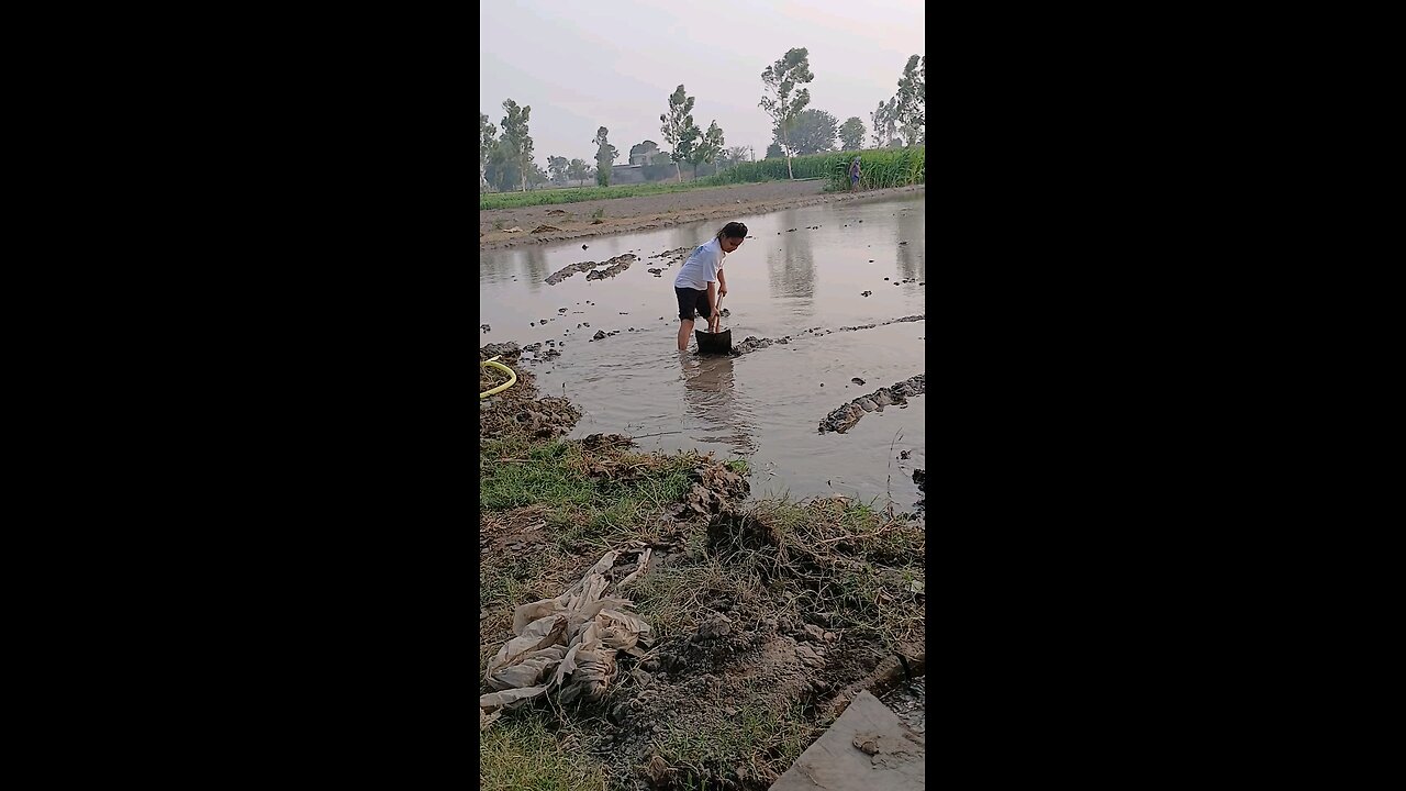 ਕੰਮ ਕਾਰ
