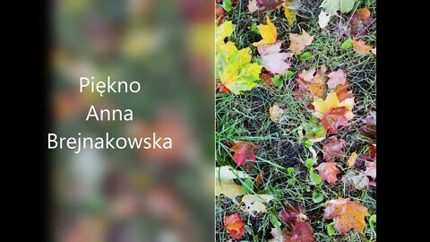 Piękno - Anna Brejnakowska