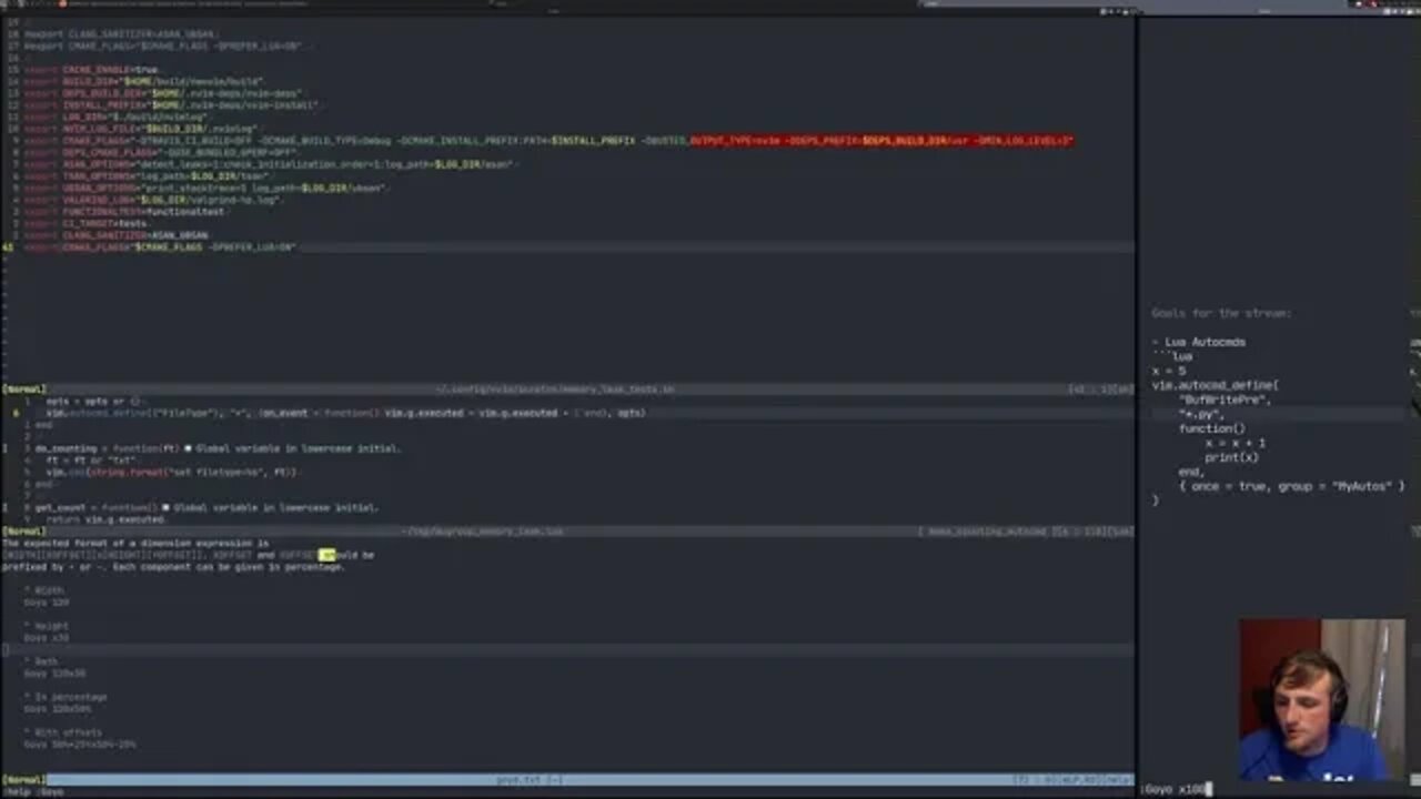 Neovim Core Dev: Working on Neovim Related Things