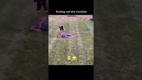 VideoNinja @videoninja23 - Invisible Dog Fence vs Man #shorts #shorts