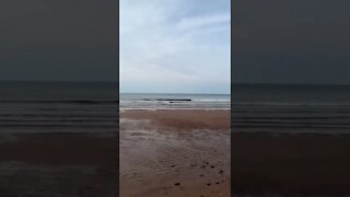 Walking along the beach