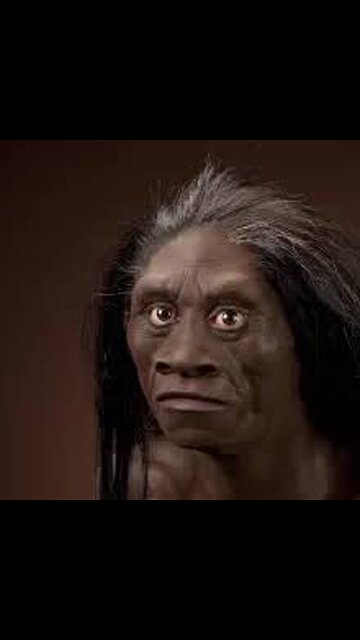 The Human Subspecies, Bigus Michus Erectus