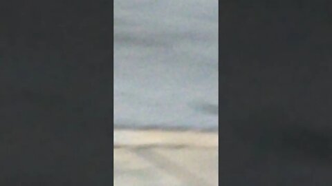 Masonic Gang Stalkers surveiling me all morning