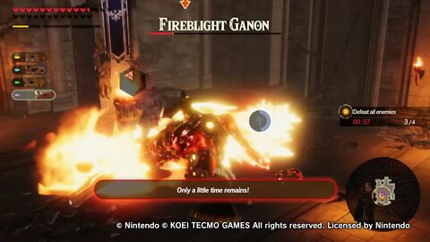 King Rhoam vs. Fireblight Ganon