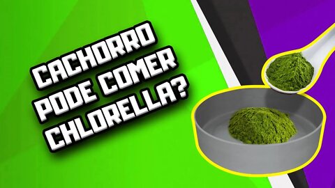 Chlorella para Cães | Dr. Edgard Gomes | Alimentação natural para Cães