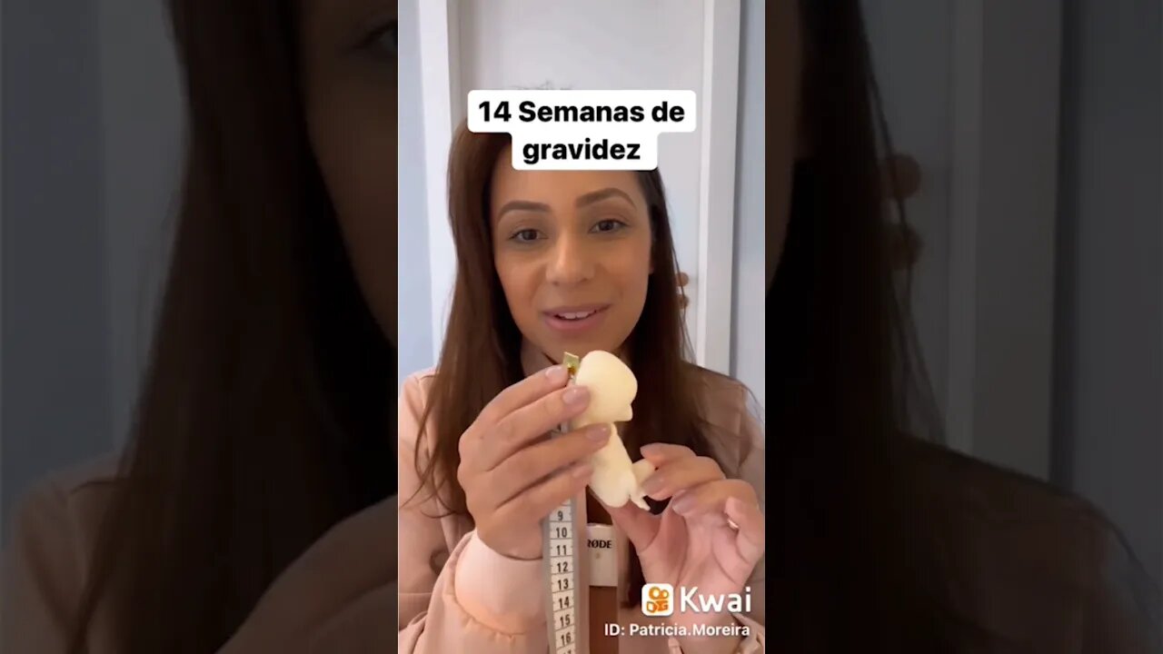14 Semanas de gravidez