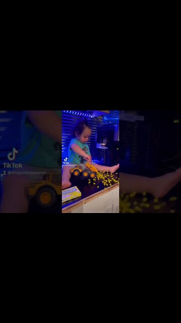 #shorts by #tinyjuniorpeanut at #activatestudio