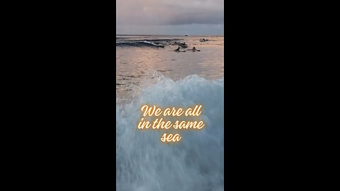 Ocean 🌊 Surfing 🏄‍♂️