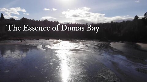 Dumas Bay Federal Way WA