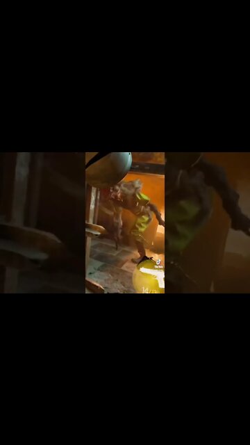 Half Life Alyx Jeff Compilation TikTok Gaming VR Clips