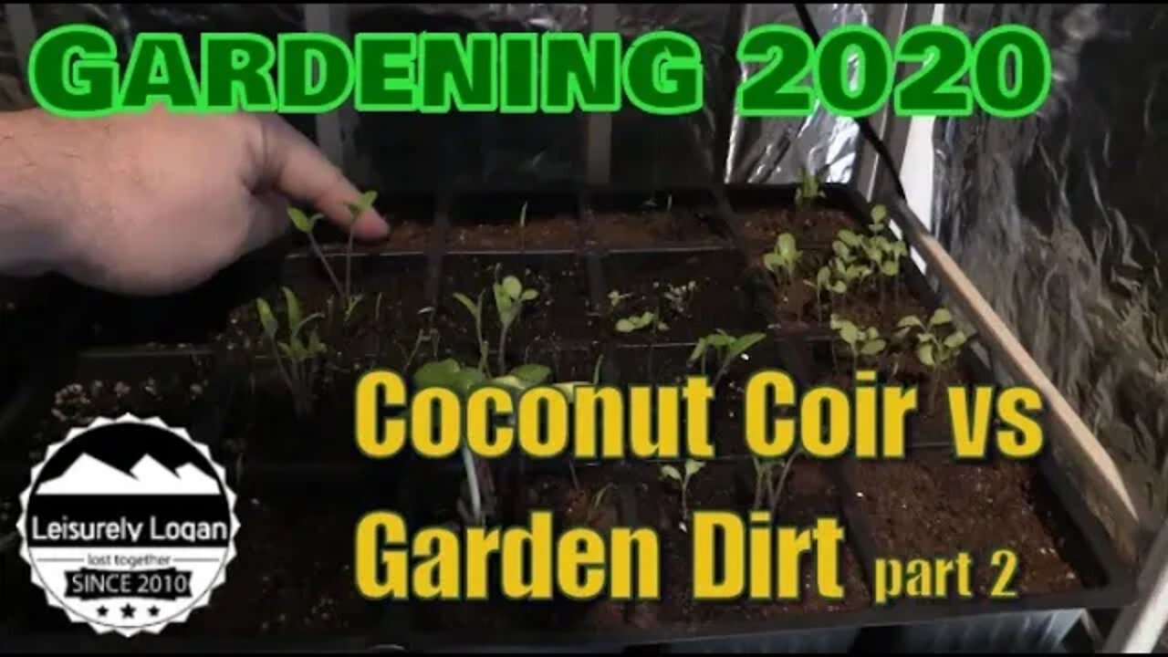 Seed Starting: Coconut Coir vs Garden Dirt