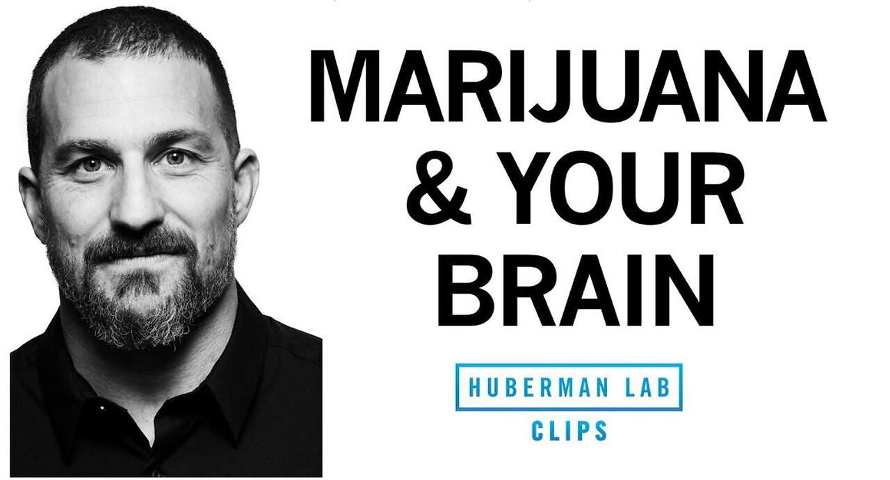 How Marijuana Affects the Brain & Body-(Cannabis,CBD,THC)