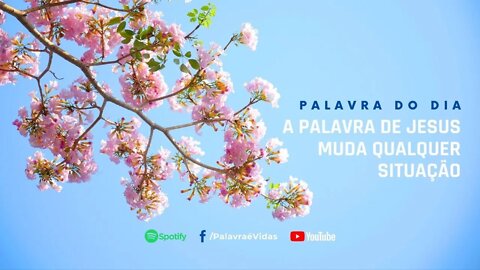 A Palavra de Jesus muda qualquer situação - (Mudança de Vida)