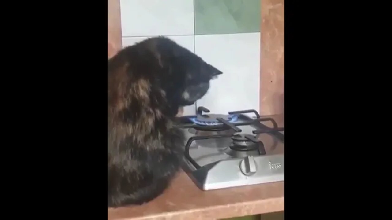 so delicious
