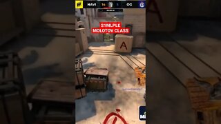 S1MPLE MOLOTOV POS PLANT - Navi