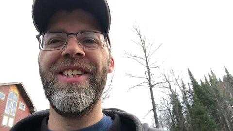 Bear strikes again | Dirty thief steals more chicken food and tractor repairs