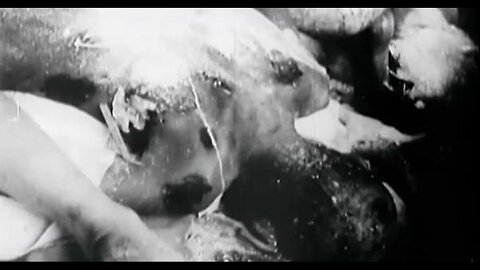 75th Anniversary Nuremberg Code