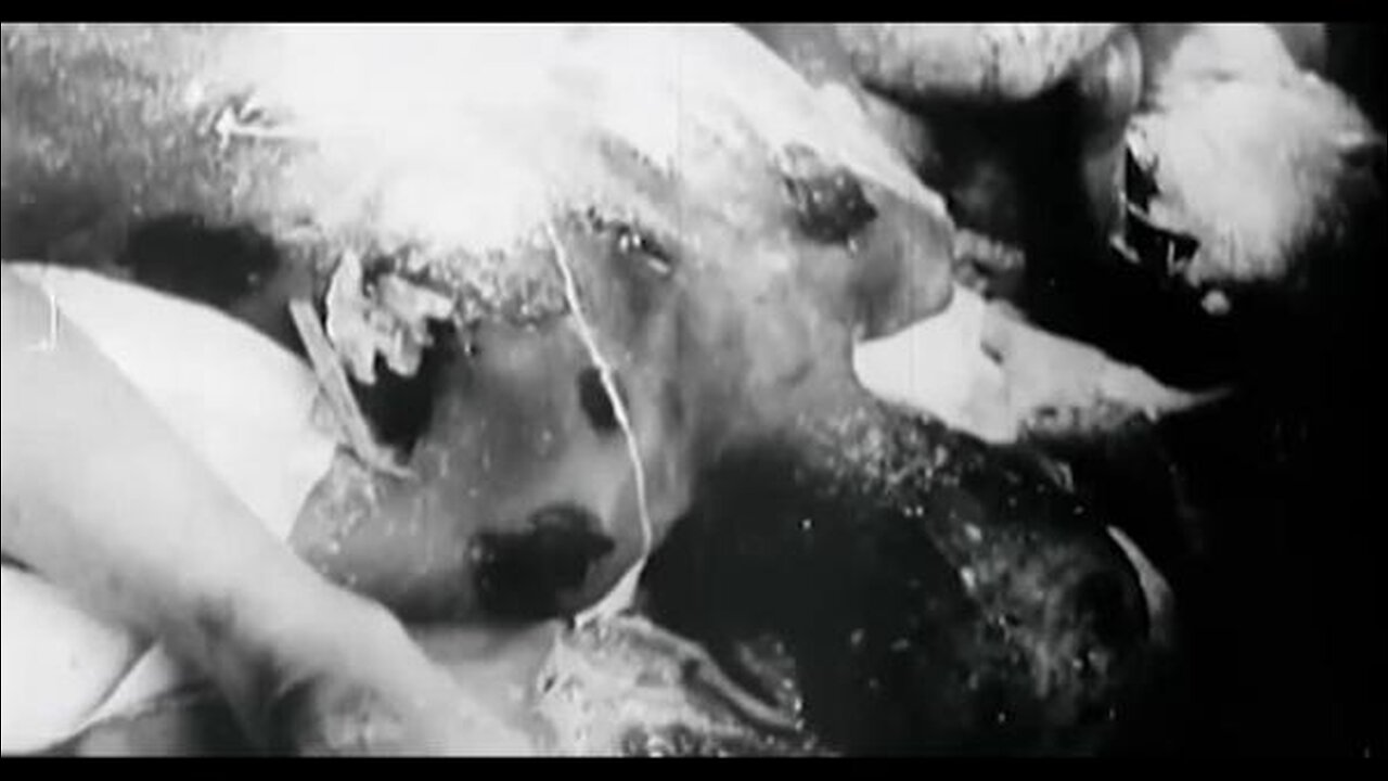 75th Anniversary Nuremberg Code