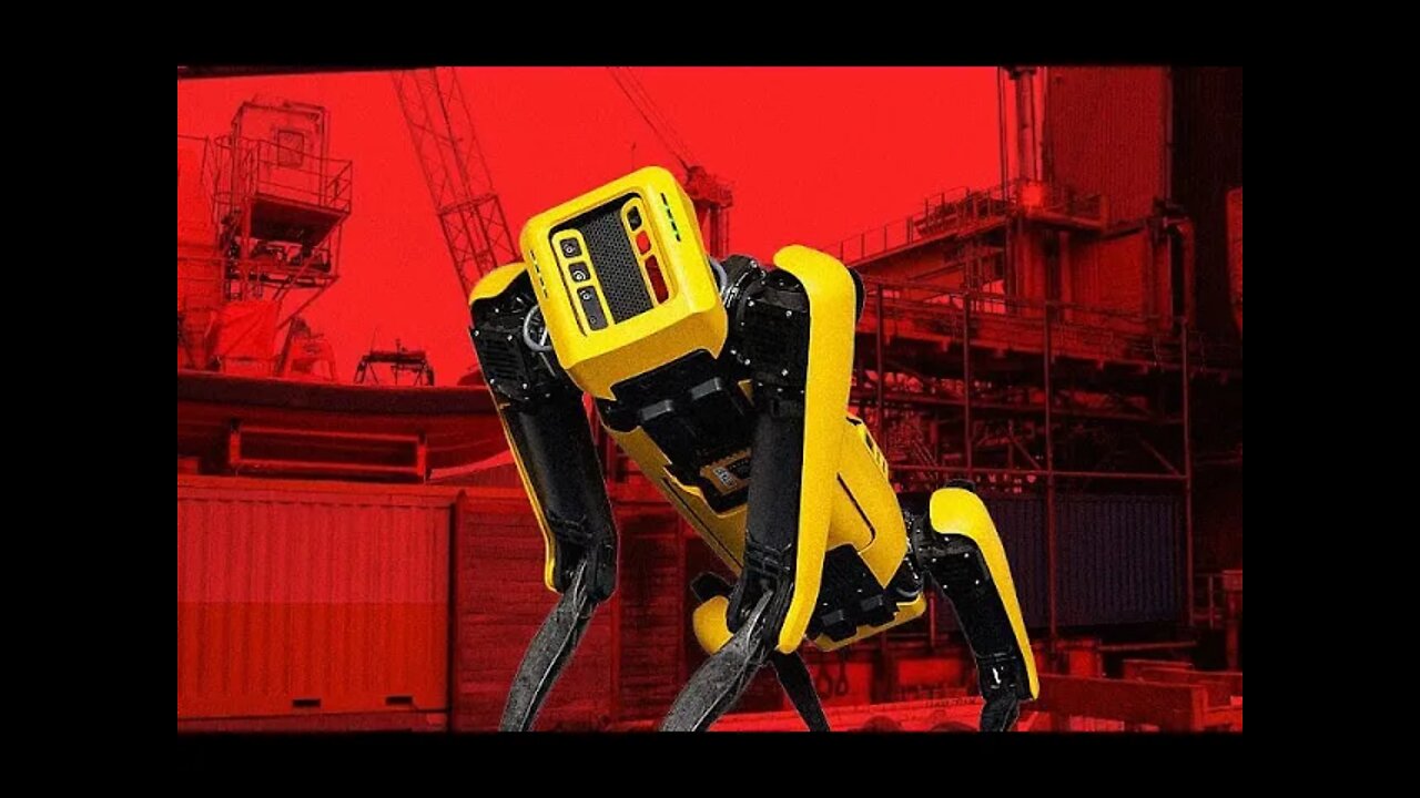 O CONCEITO DE CÃO PASTOR FOI ATUALIZADO.