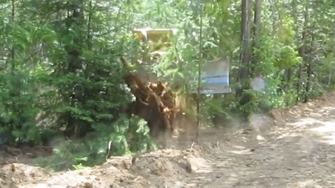 Building the road. I'm a tree hugger! OMG!