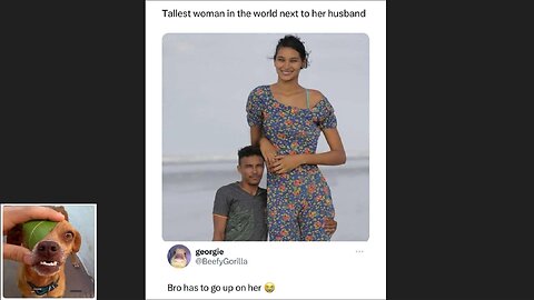 Memes That Will 99.869% Make You Laugh. (e94)