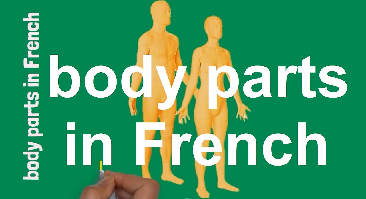 body parts in French | learn French