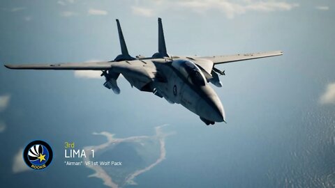 Best Birthday F14 Ace Combat 7 match