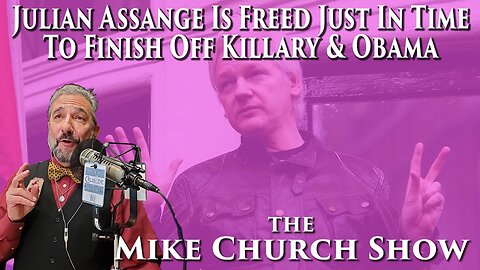 Julian Assange Is Freed Just In Time To Finish Off Killary & Obama