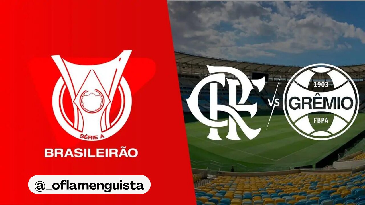 Flamengo x Grêmio - Campeonato Brasileiro 2009