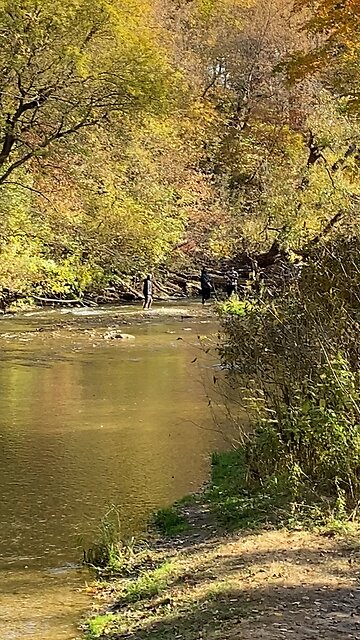 Poachers at the Bowmanville Creek in Ontario.