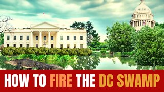 How to Fire the DC Swamp