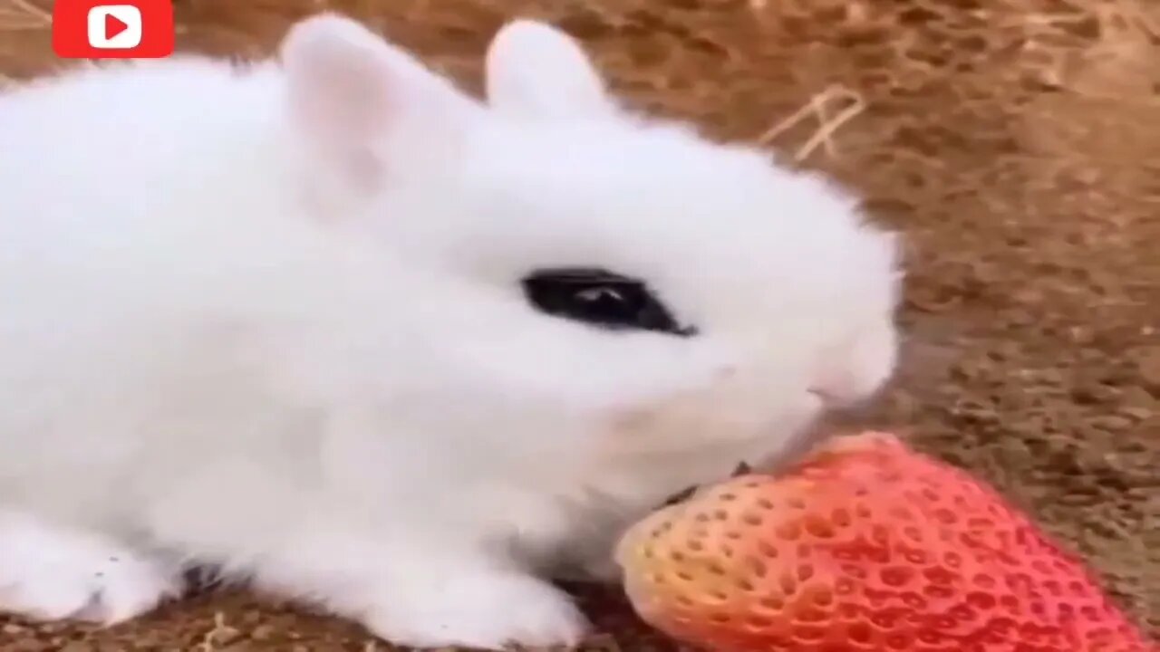 Visual enticing video