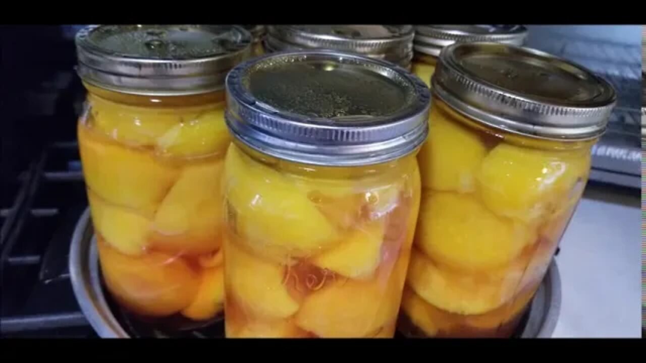 Canning peaches--better wait till they're ripe!