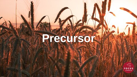 Precursor