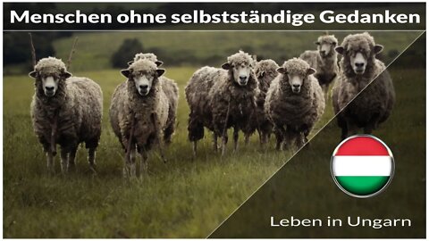 Viele Menschen ohne selbstständige Gedanken - Leben in Ungarn