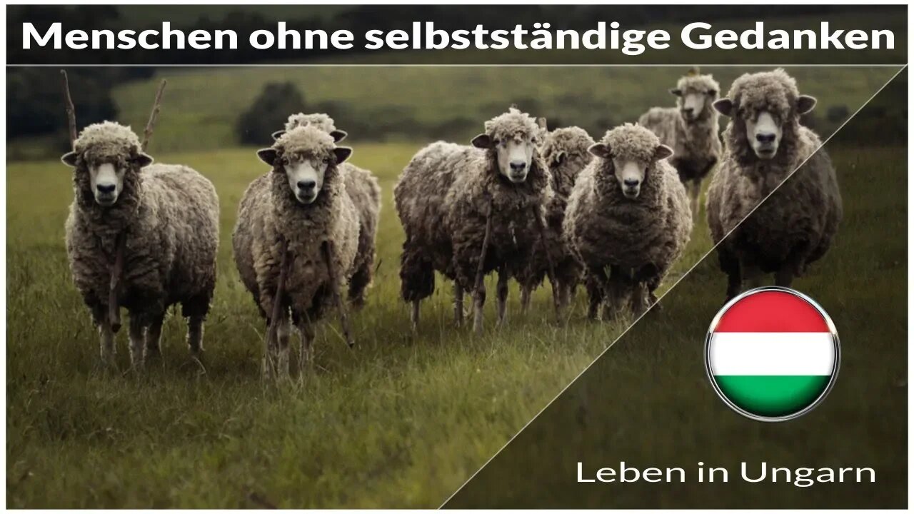 Viele Menschen ohne selbstständige Gedanken - Leben in Ungarn