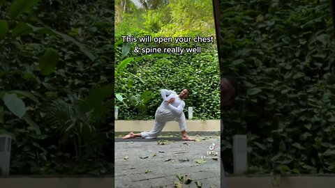 The Warrior Twist💪