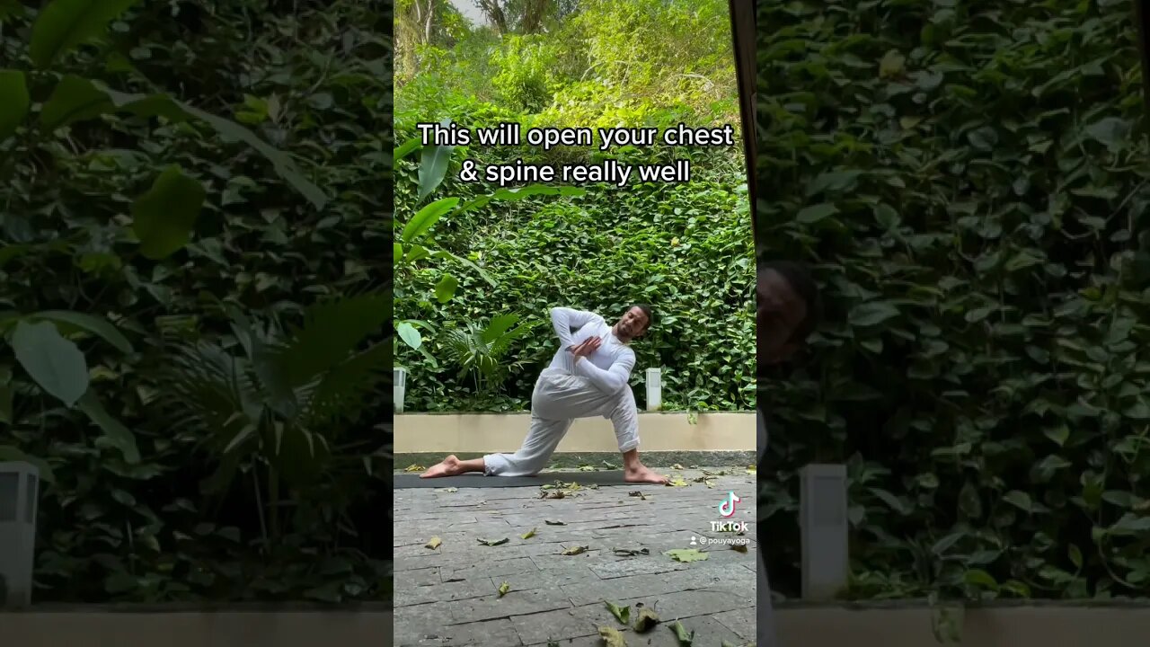 The Warrior Twist💪