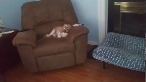 Chair Thief