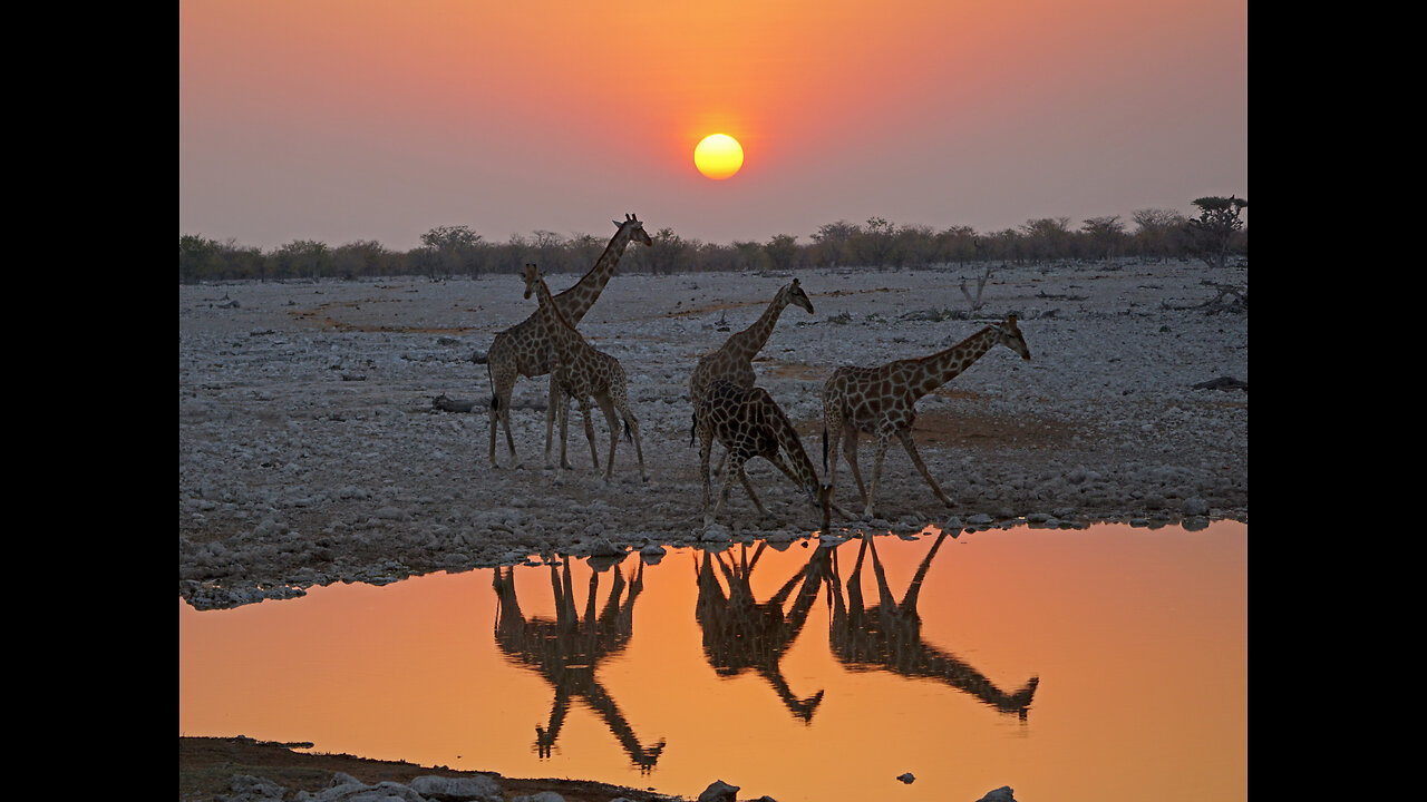 Etosha September 2023