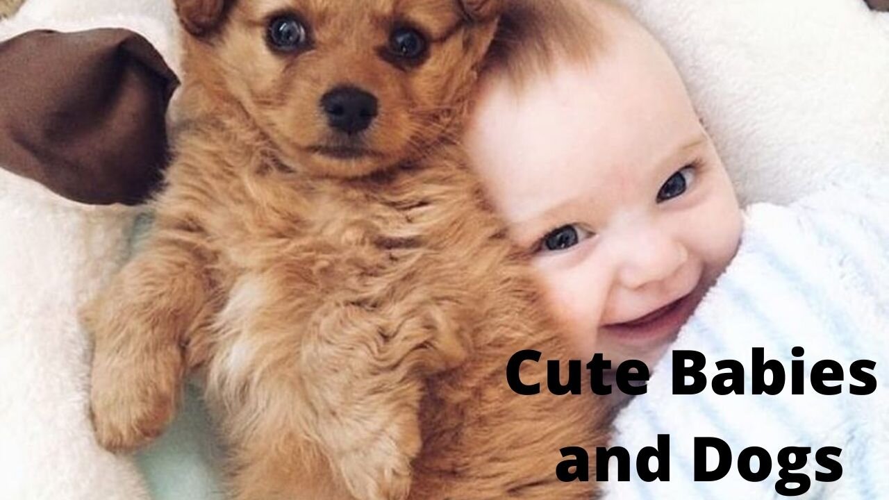 Cute Babies and Dogs